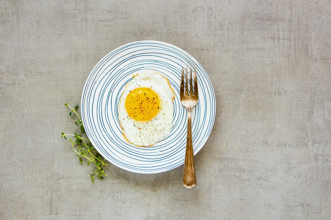 Fried egg in plate on light stone background