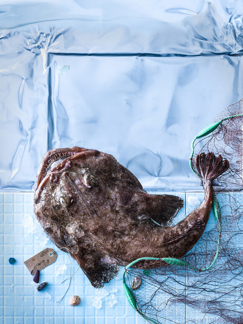 Seeteufel mit Fischernetz auf blauem Untergrund
