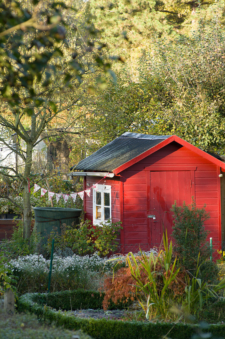 Allotment shed decorated with bunting in autumn
