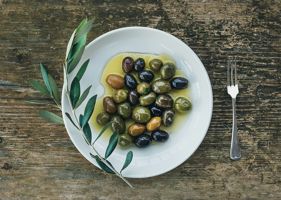 A plate of Mediterranean olives in olive oil with a branch of olive tree