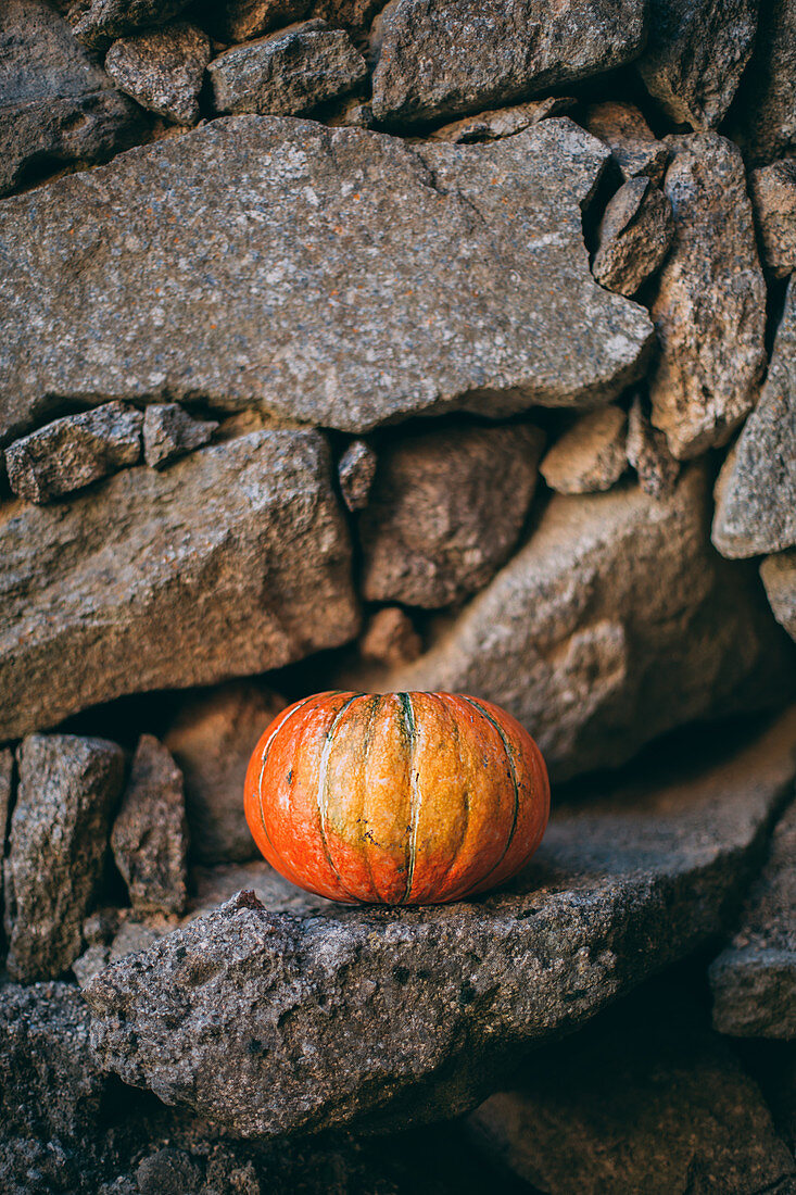 Pumpking with a stone wall background