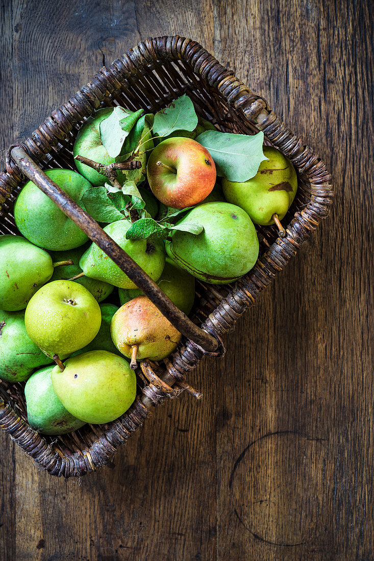 Garden pears and an apple in a basket