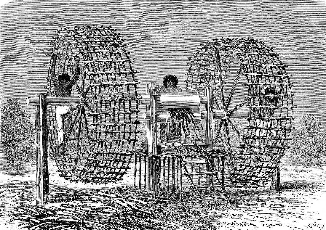 Sugar cane mill in Ecuador, 19th century