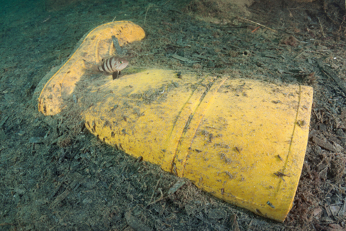Discarded rubber boot on seabed