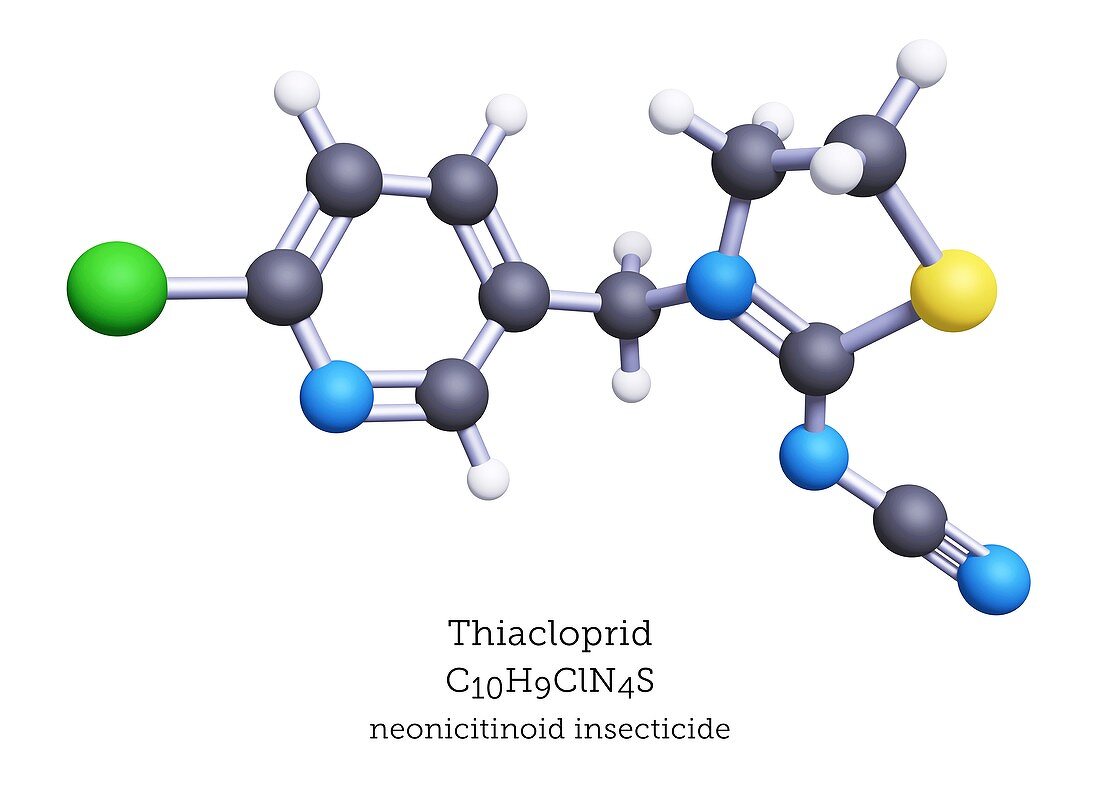 Thiacloprid neonicitinoid insecticide molecule
