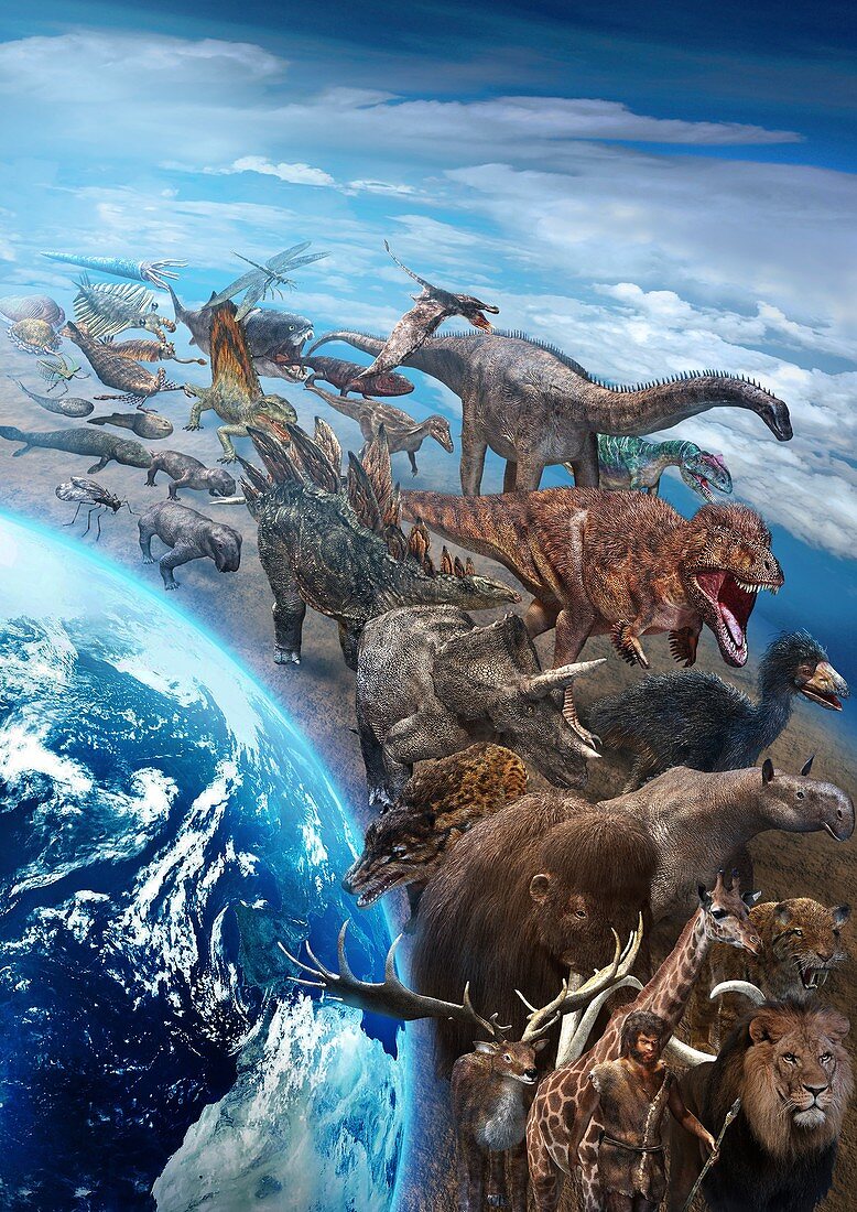 Evolution of life on Earth, illustration