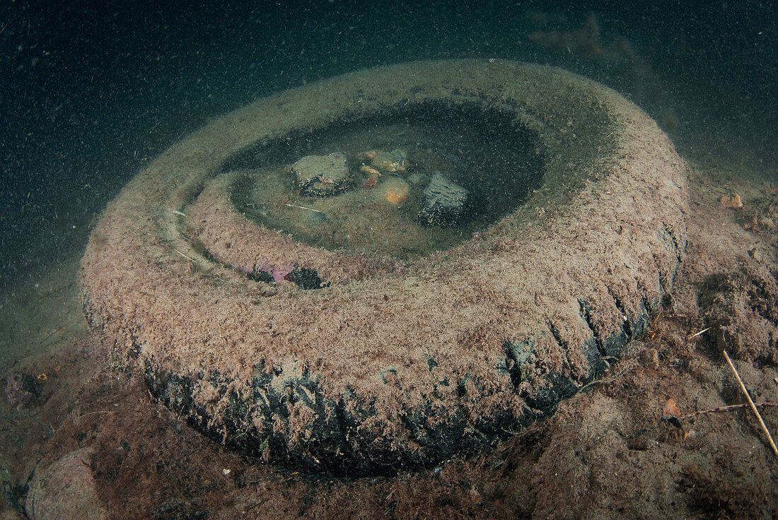 Dumped tyre on the seabed