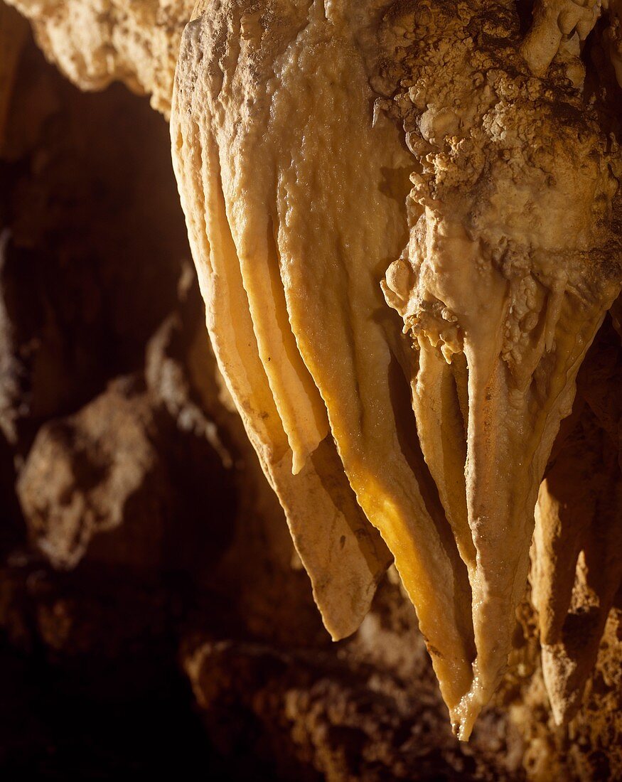 Stalactites, Toirano caves, Liguria, Italy