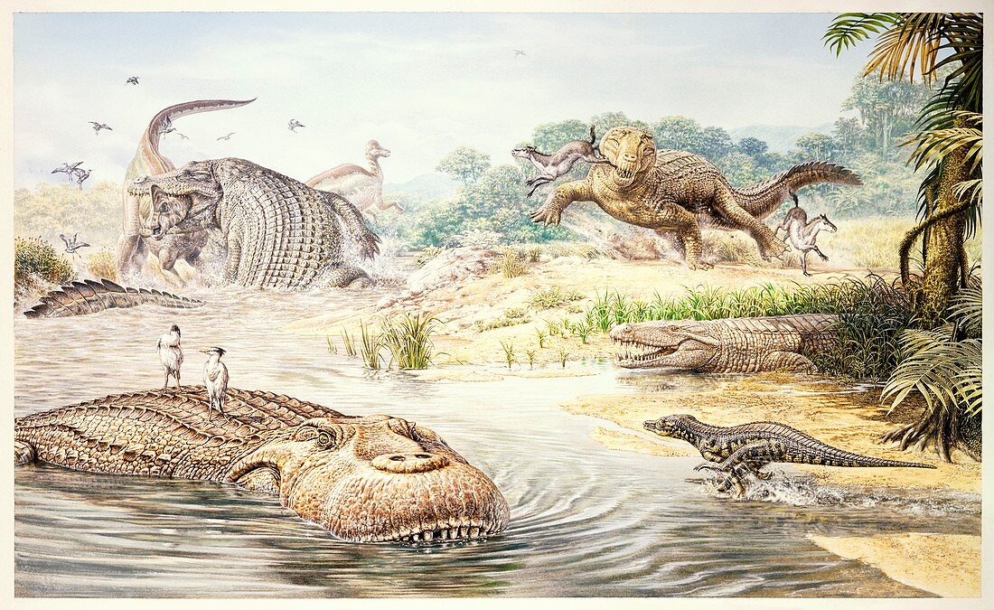 Prehistoric crocodiles, illustration