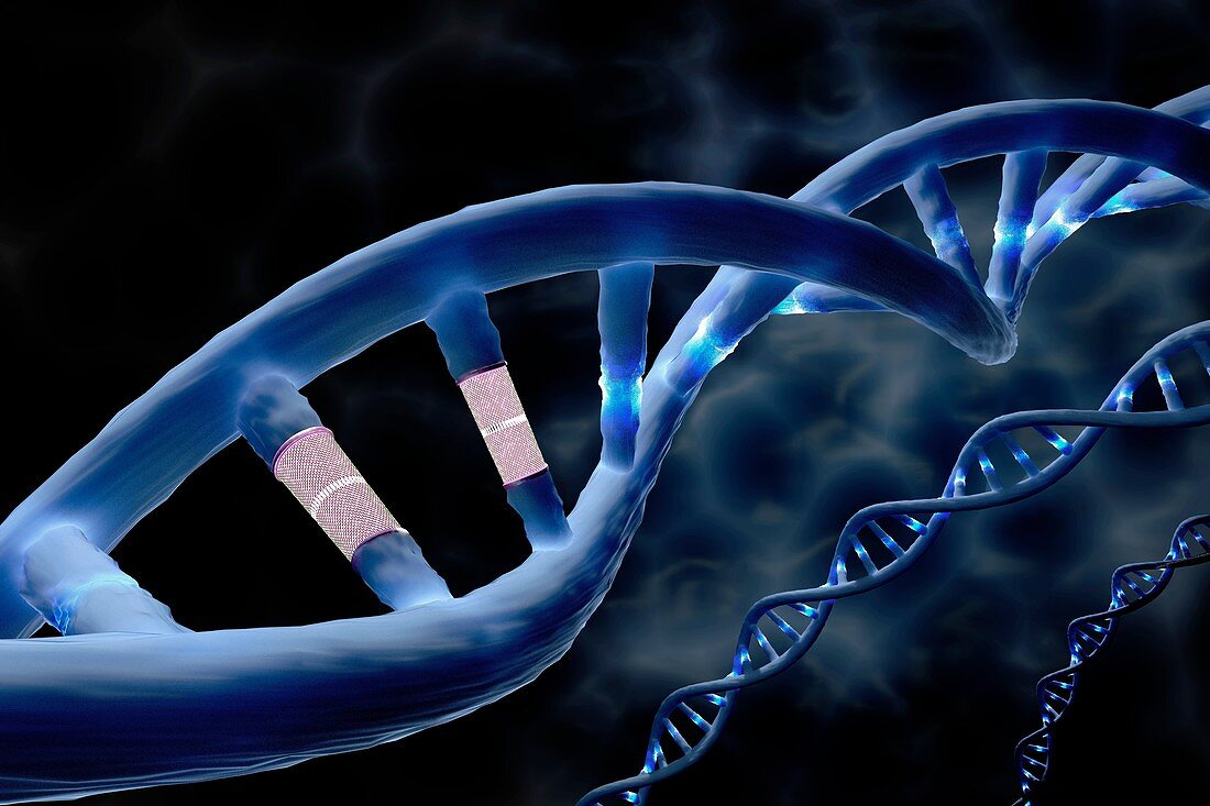 DNA editing and repair, conceptual illustration