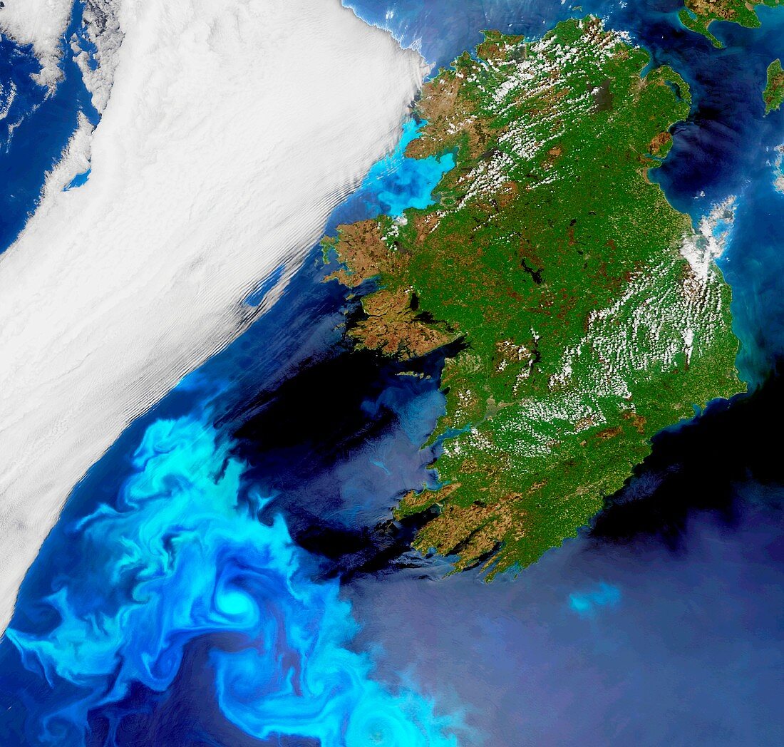 Phytoplankton bloom off Ireland, satellite image