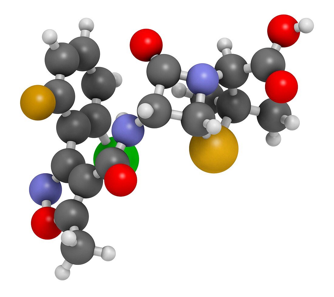 Flucloxacillin antibiotic molecule