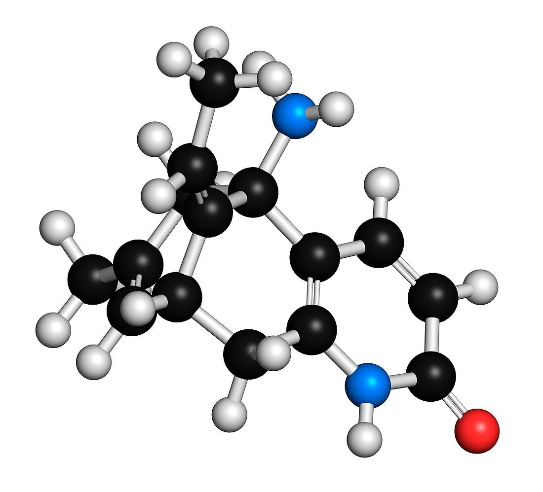 Huperzine A alkaloid molecule