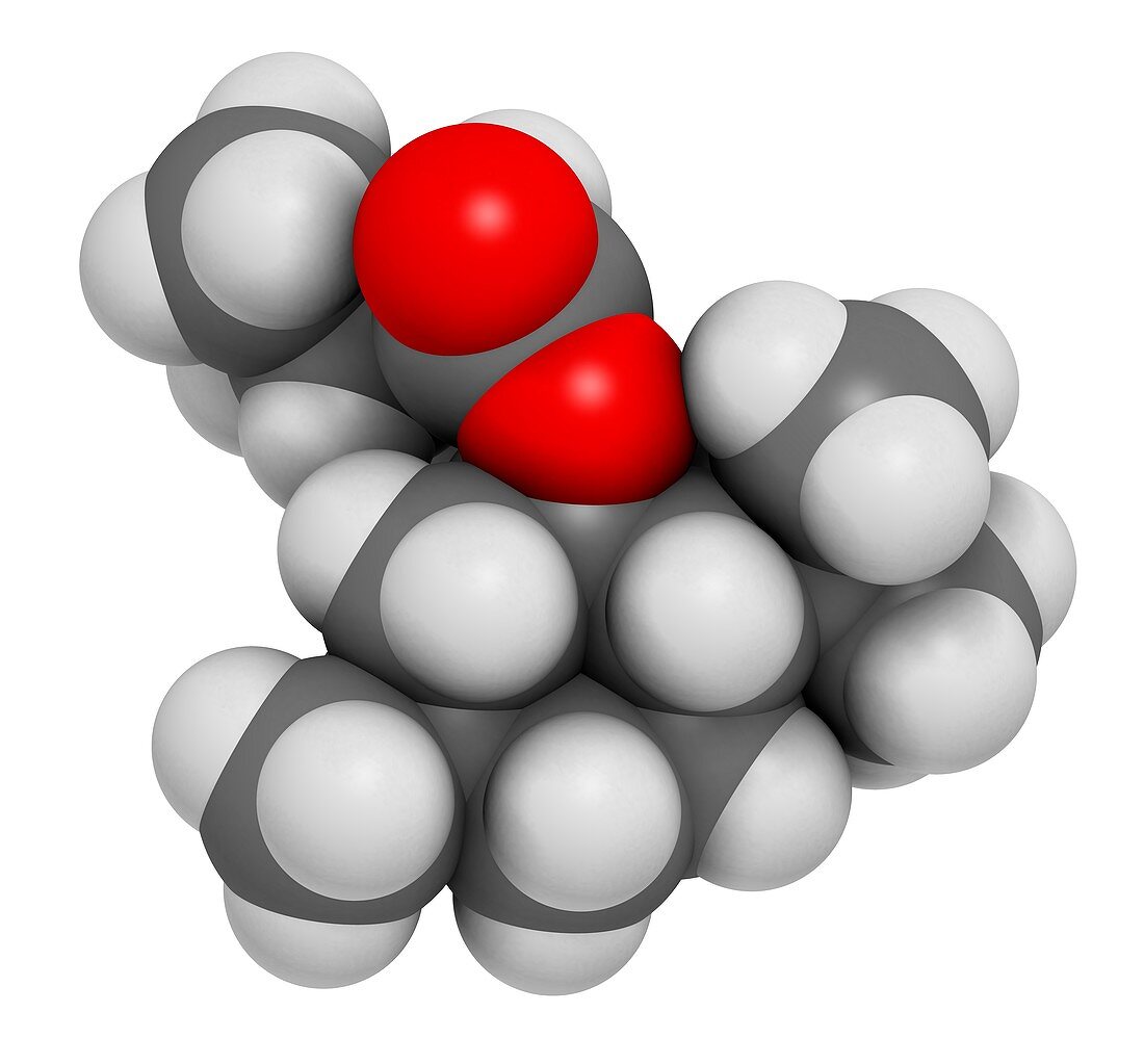 Menthyl isovalerate drug molecule