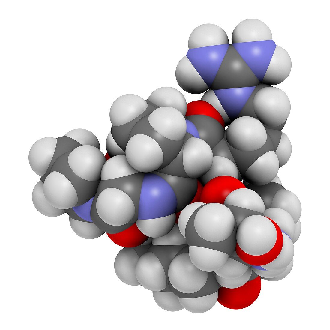 Selank nootropic and anxiolytic peptide molecule