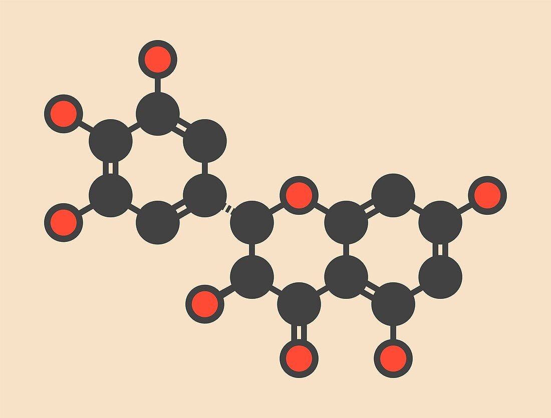 Ampelopsin flavanonol drug molecule