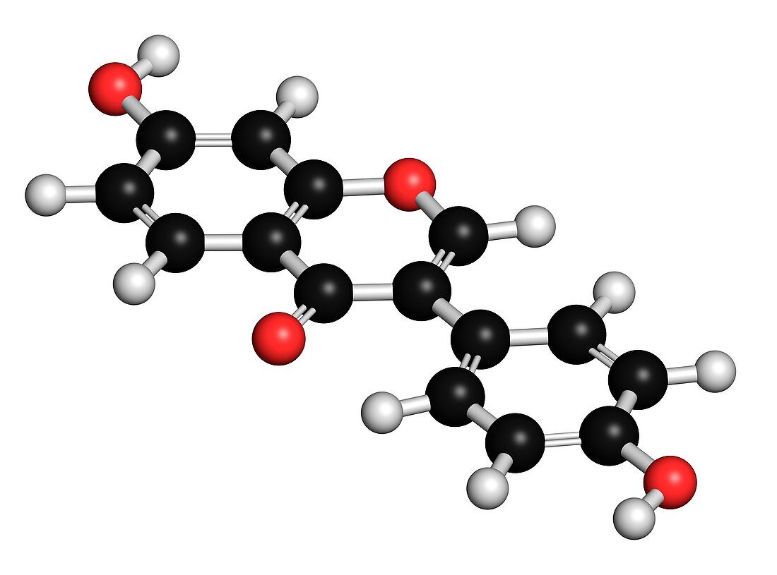 Daidzein isoflavone molecule