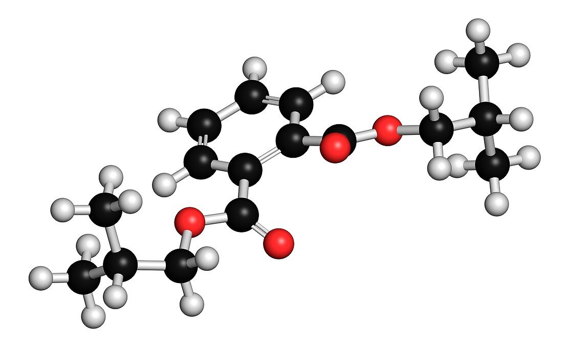 Diisobutyl phthalate molecule