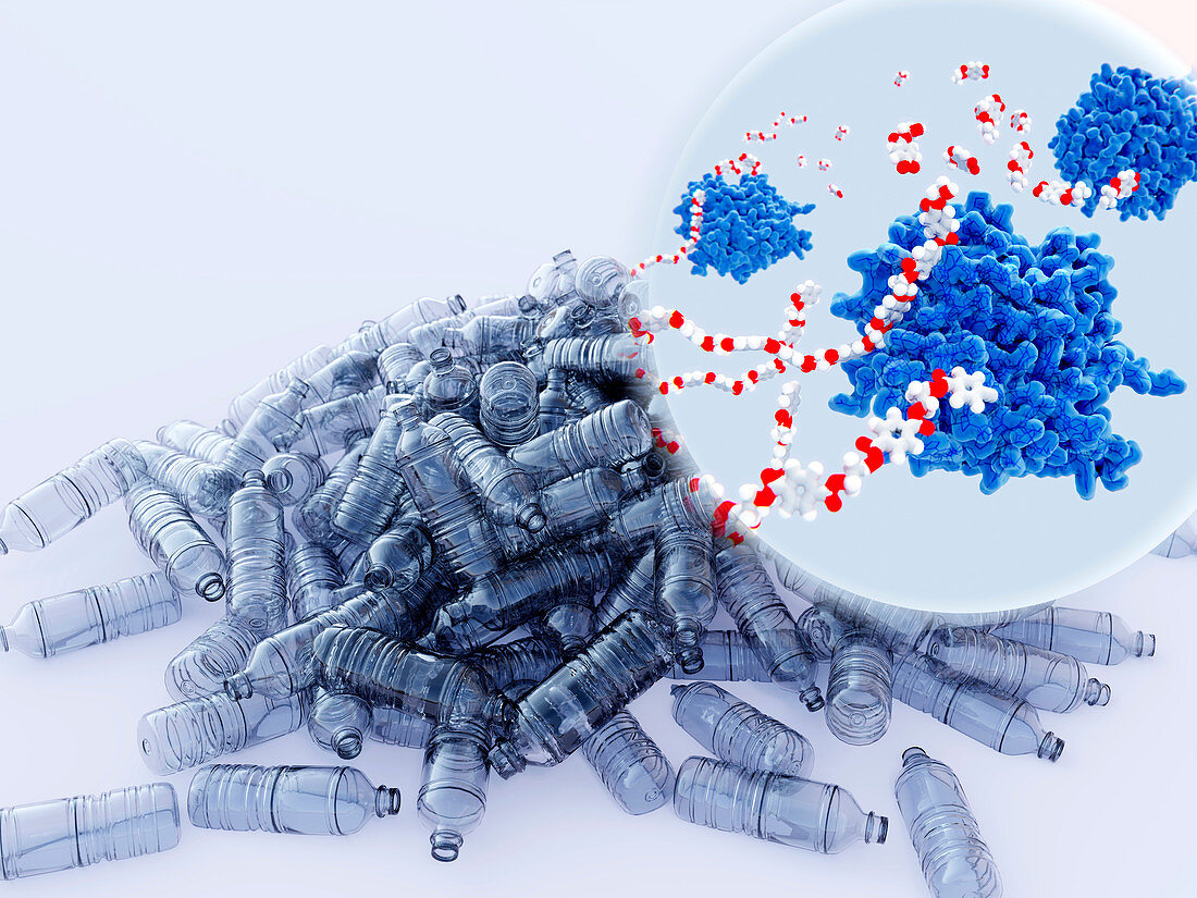 PETase enzymes breaking down plastic, illustration