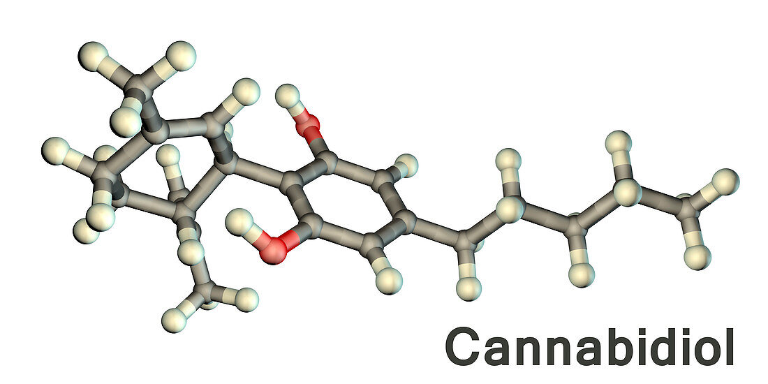 Cannabidiol, molecular model