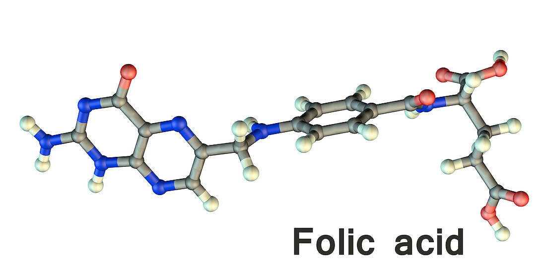 Folic acid vitamin B9 molecule