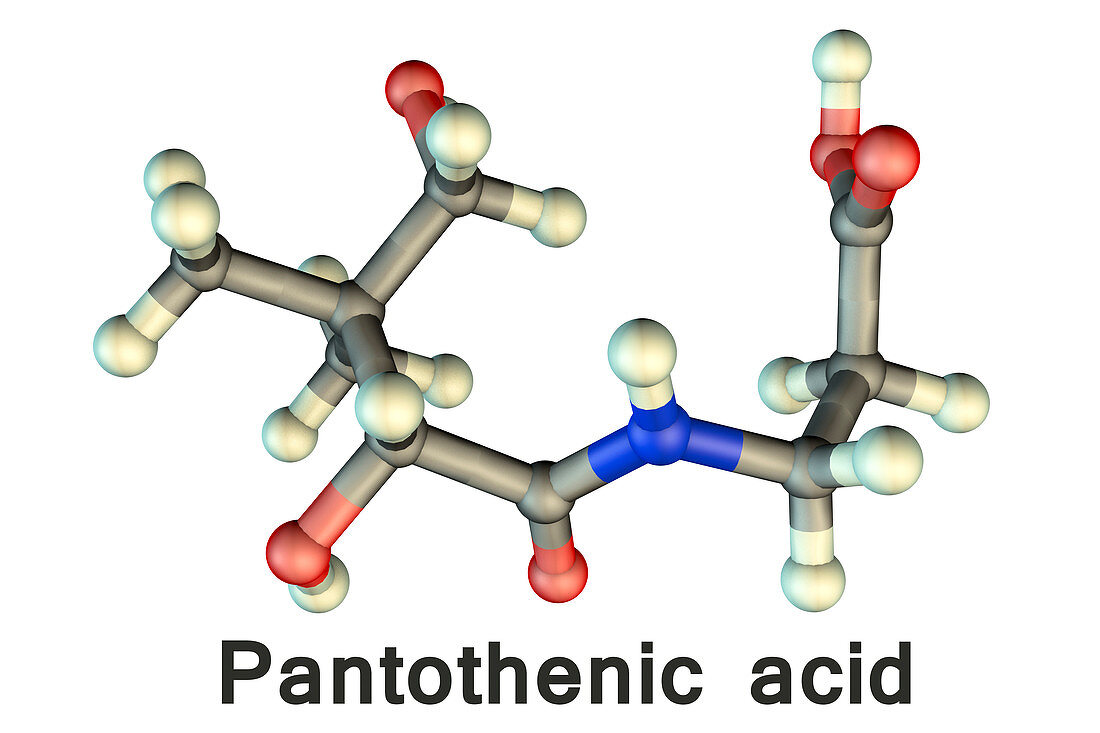 Vitamin B5 pantothenic acid molecule