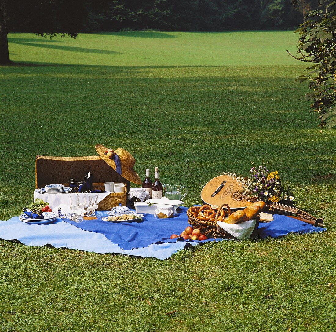 Beautiful Lawn Picnic in Summertime