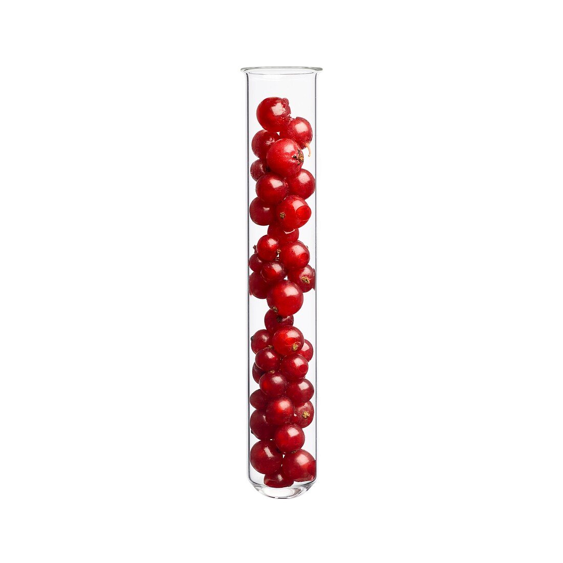 Redcurrants in test tube