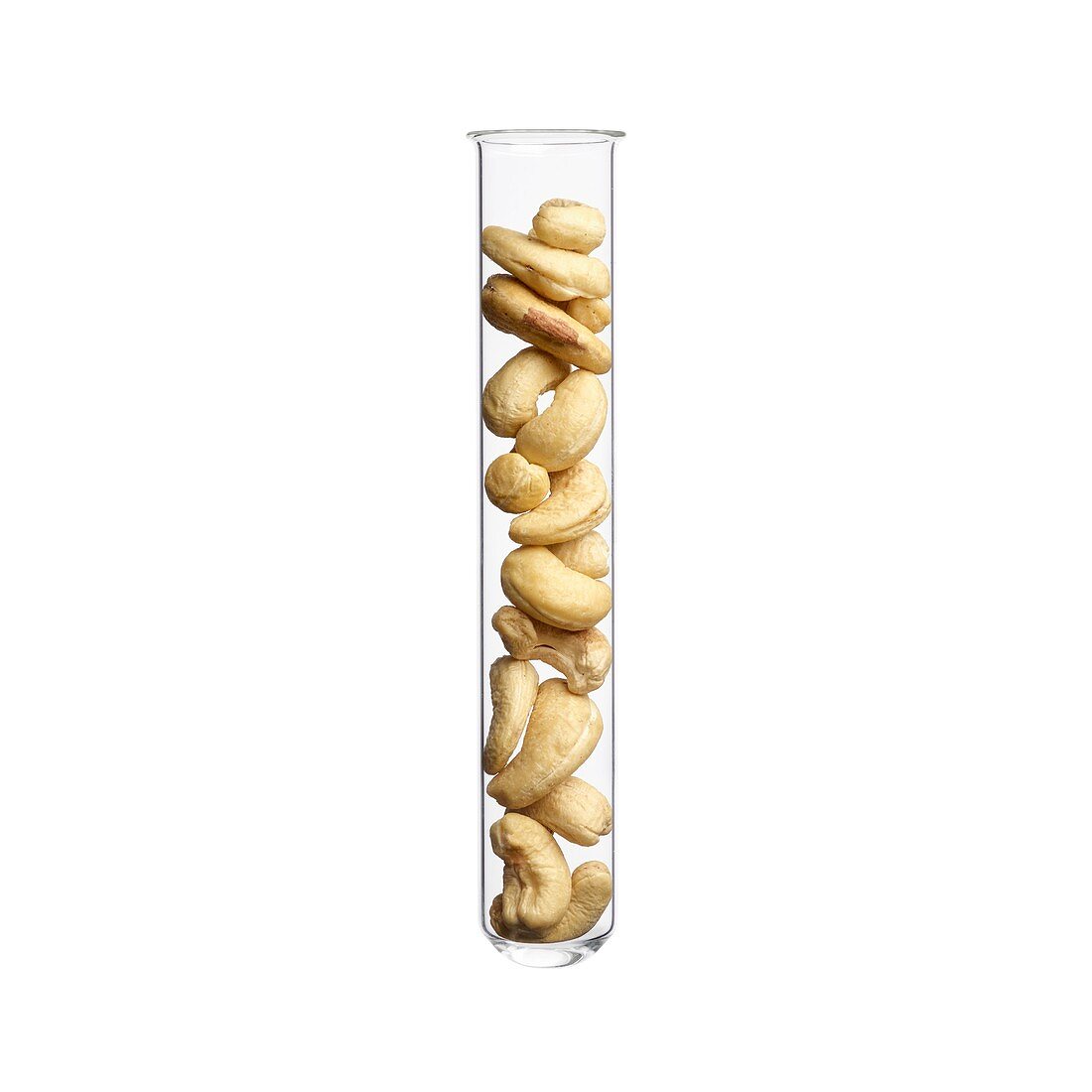 Cashew nuts in test tube