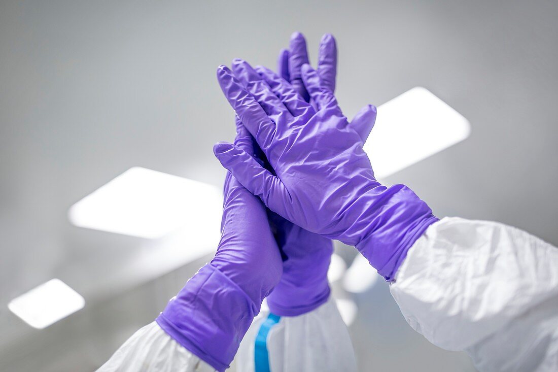 Lab technicians high-fiving