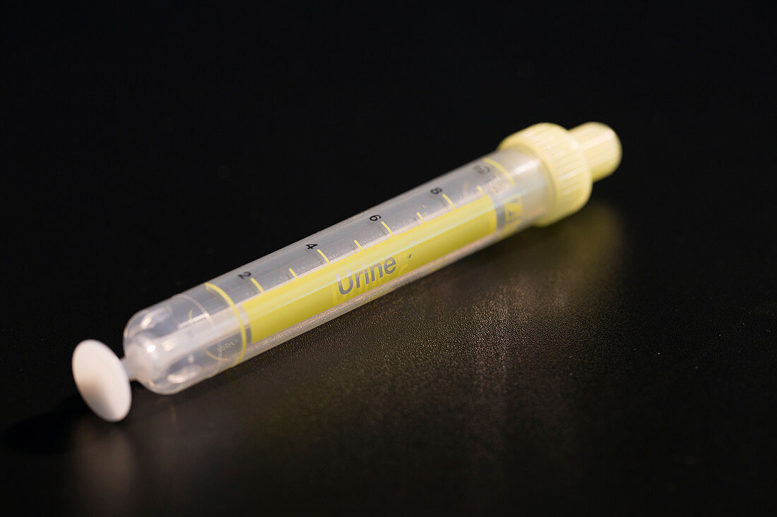 Device for sampling urine