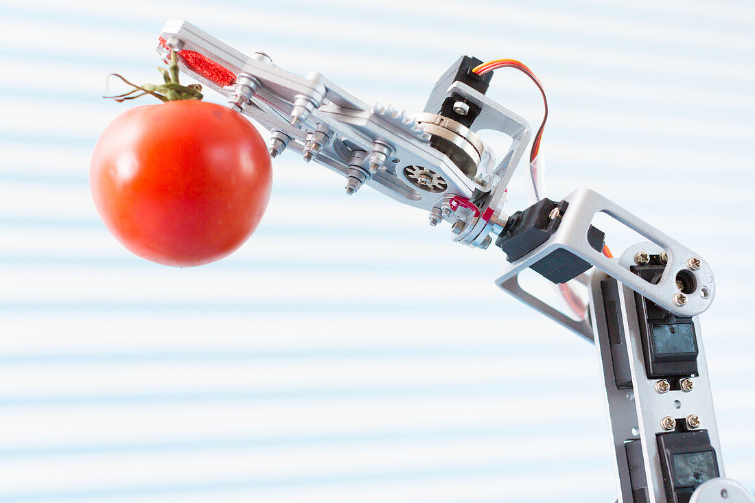 Robotic arm holding tomato