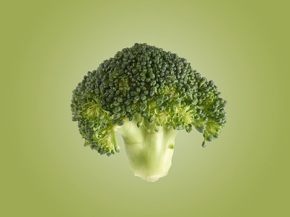 Broccoli