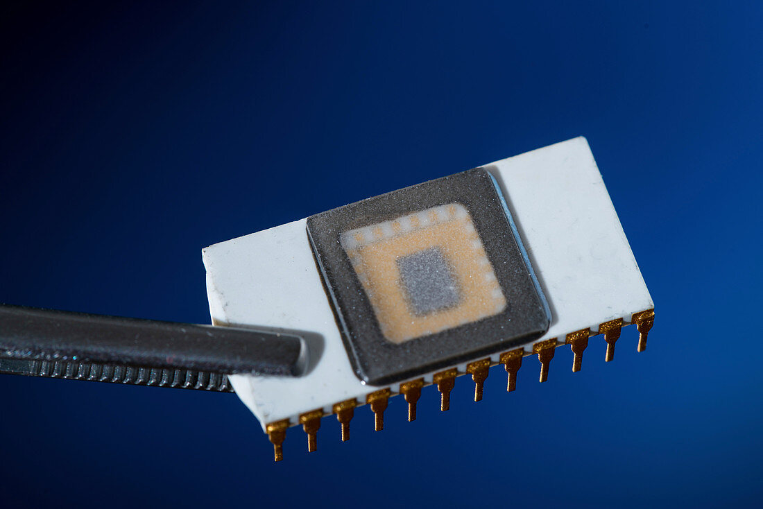 Electronic chip