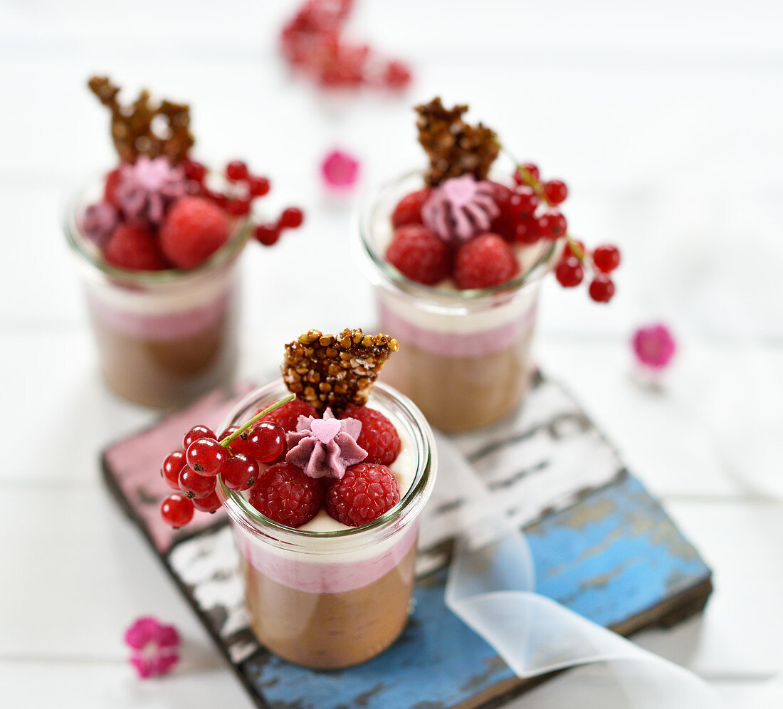 Neapolitan-style vegan chocolate, raspberry and vanilla yoghurt desserts