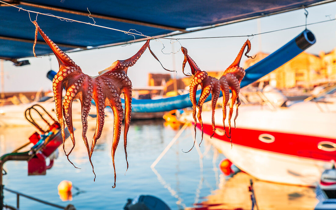 Tintenfische hängen zum Trocknen auf Wäscheleinen (Chania, Kreta, Griechenland)
