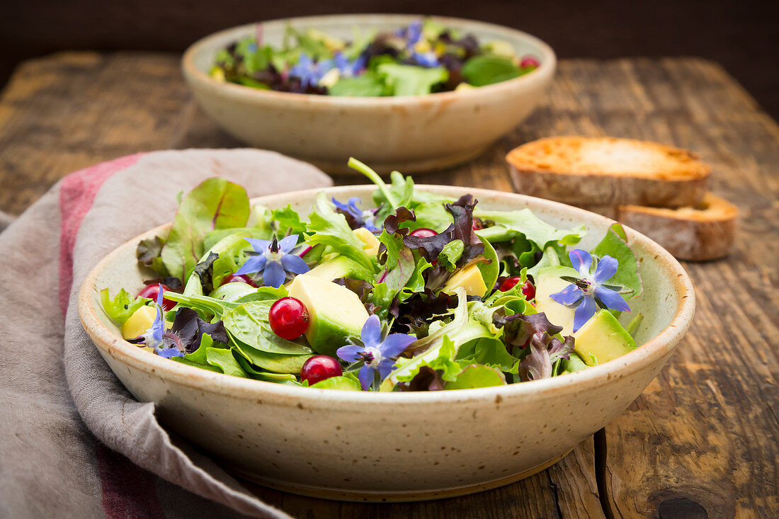 Gemischter grüner Salat mit Avocado, Johannisbeeren und Borretschblüten