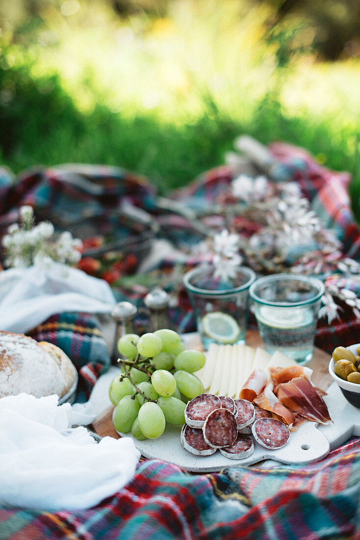 Picknick mit Wurst, Käse und Trauben auf karierter Decke im Wald