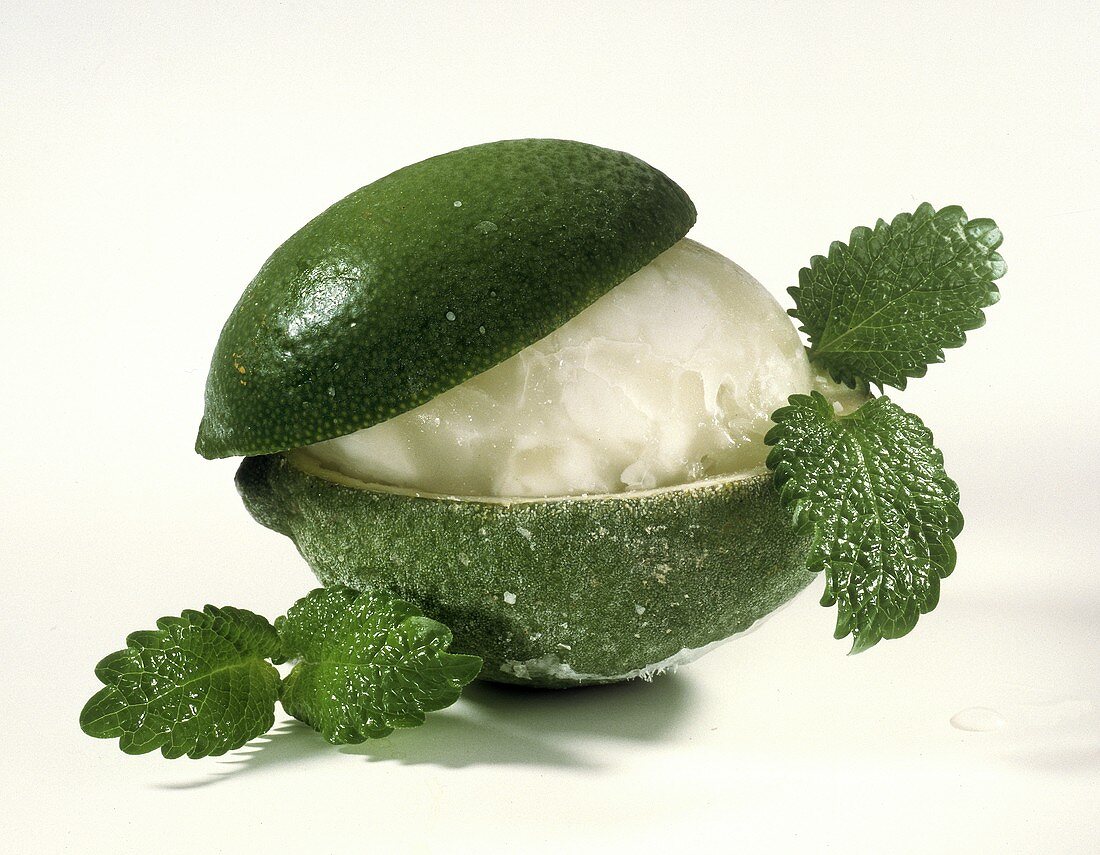 Lime Sorbet Served in a Lime; Mint Leaves