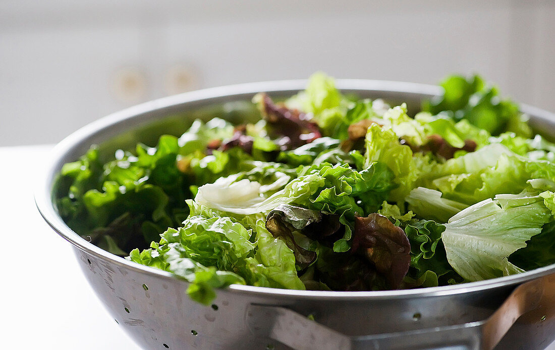 Variety of lettuce leaves