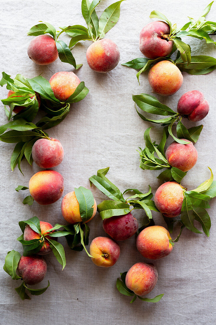 Farm fresh peaches