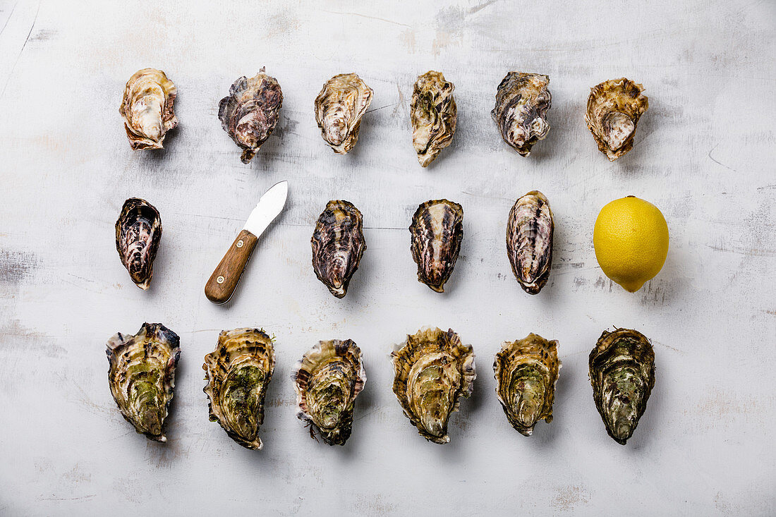 Assorted fresh Oysters, knife and lemon on light background