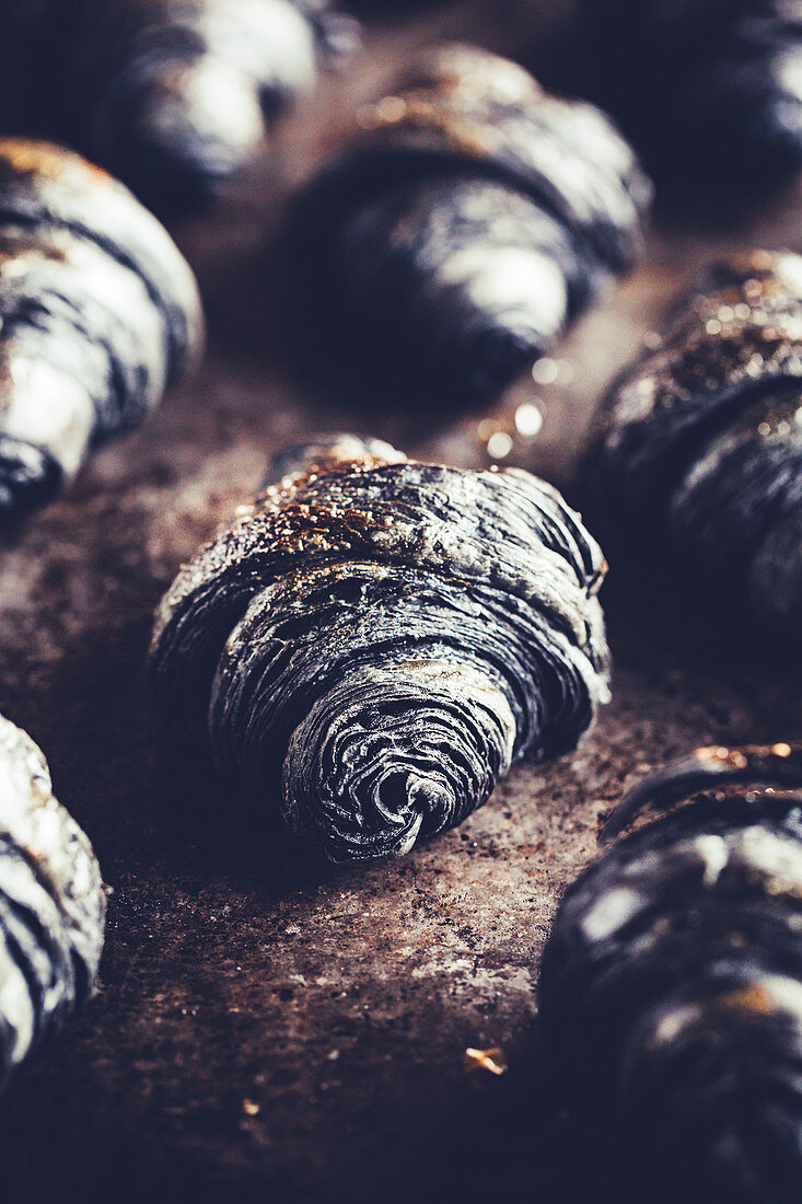 Schwarze Croissants mit Aktivkohlepulver auf Backblech