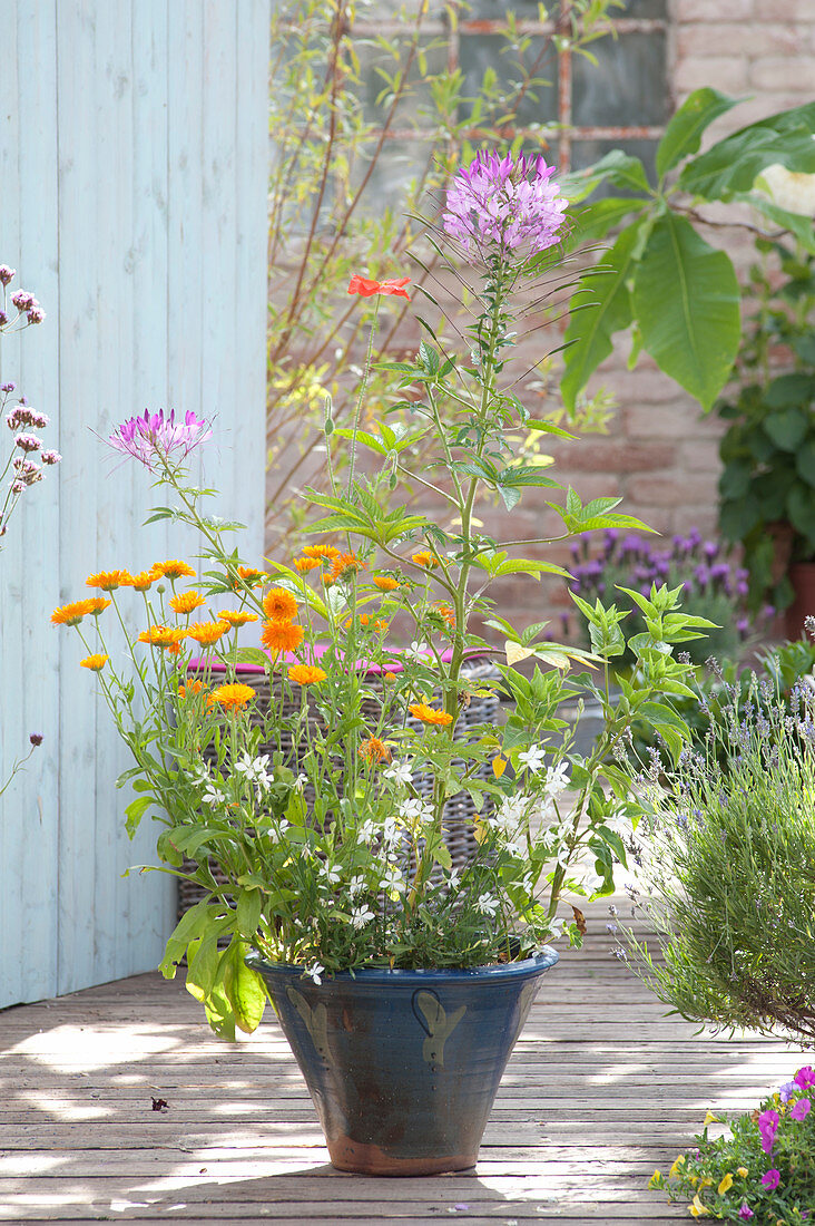 Sommerblumen in handgetöpferter Keramik