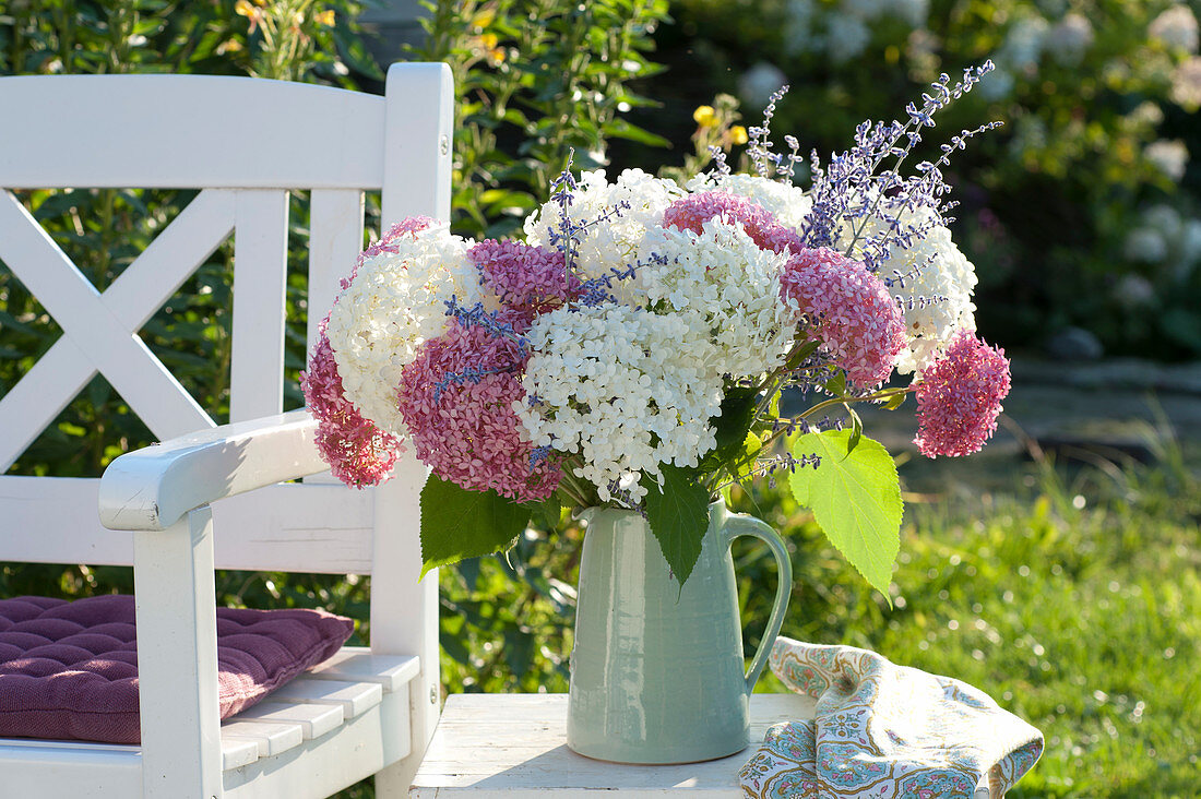 Bouquet of flowers of the shrub hydrangea 'Pink Annabelle' and 'Annabelle'