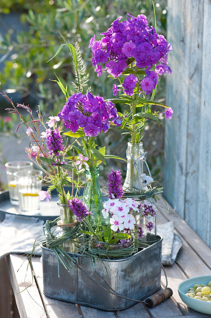 Violette Blüten von Flammenblume, Ziest und Oregano mit Gräsern in Flaschen