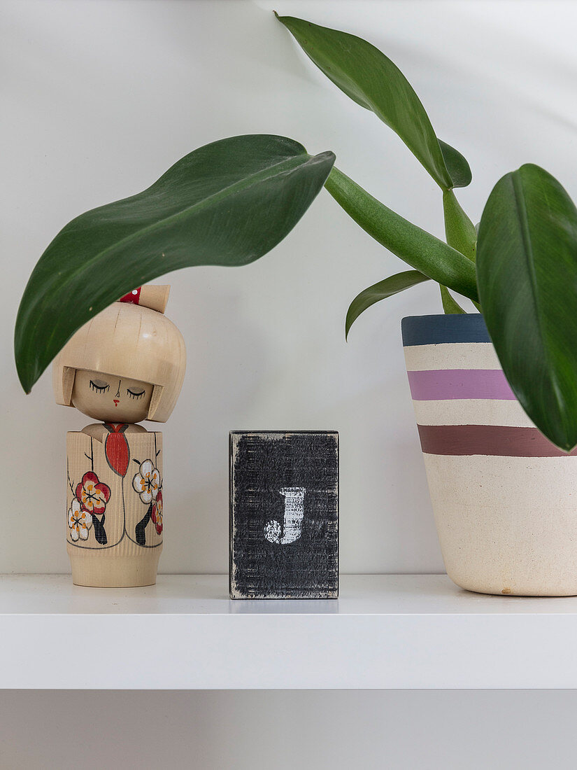 Houseplant and Oriental wooden doll on shelf
