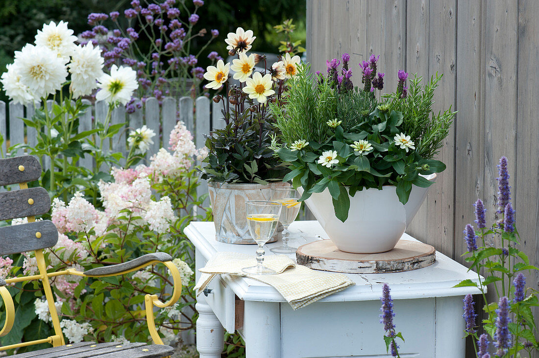 Bowl with zinnia, lavender, rosemary, simple dahlia 'Happy Days Lemon'