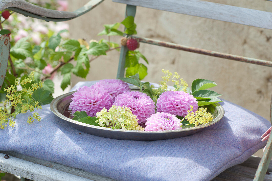 Dahlia flowers, hydrangea and lady's mantle in bowl with water
