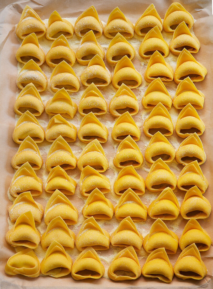 Frische ungekochte Tortellinis nebeneinander aufgereiht (Aufsicht)